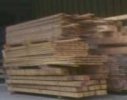 Boards - Squared Timber - Sawed Timber
