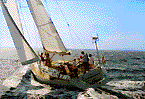 Segeln